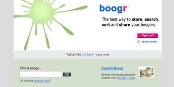 Boogr - From the makers of Flickr