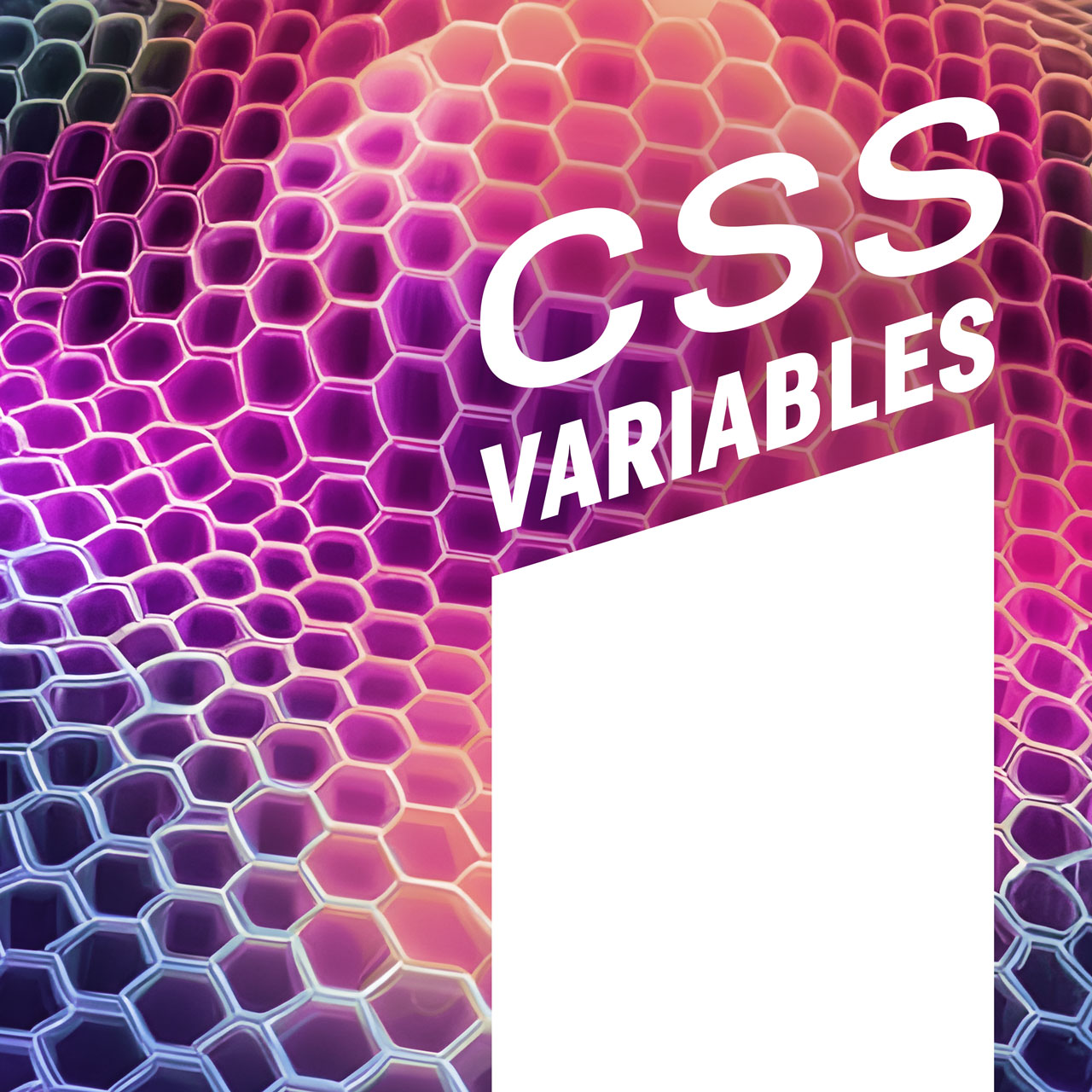 CSS Variables: The Power Of Custom Properties In Web Design Photricity ...