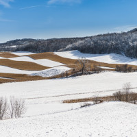 snowy hills