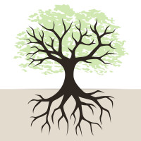 tree-and-roots-illustration